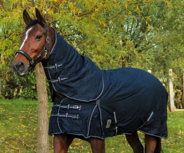 DKR Sports Outdoordeken Luxe 300grs met afneembare hals bestellen? Via Paardensportwebshop.nl