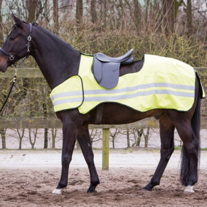 Harry&apos;s Horse Uitrijdeken Reflective bestellen? Via Paardensportwebshop.nl