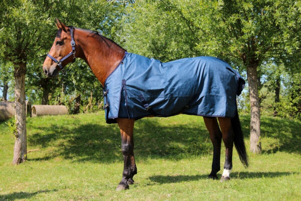 DKR Sports Regendeken Luxe met fleece bestellen? Via Paardensportwebshop.nl