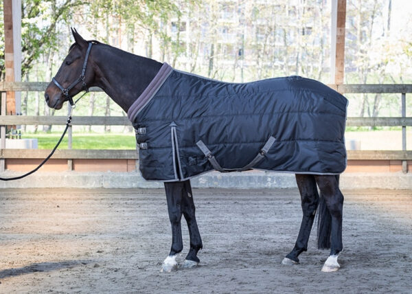 Harry&apos;s Horse Staldeken Sturdy 1000D - 200gr bestellen? Via Paardensportwebshop.nl