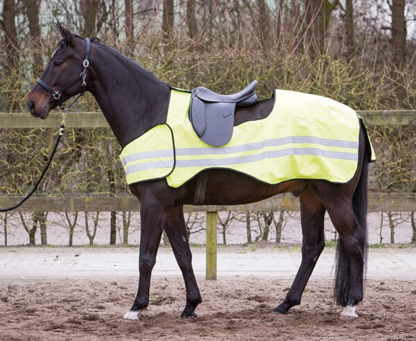 Harry&apos;s Horse Uitrijdeken Reflective bestellen? Via Paardensportwebshop.nl