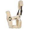 Kentucky Transport halster beige maat:full online bestellen