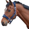 Pagony halster Reno donkerblauw maat:pony online bestellen