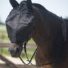 QHP Rij vliegenmasker met oren zwart maat:pony online bestellen