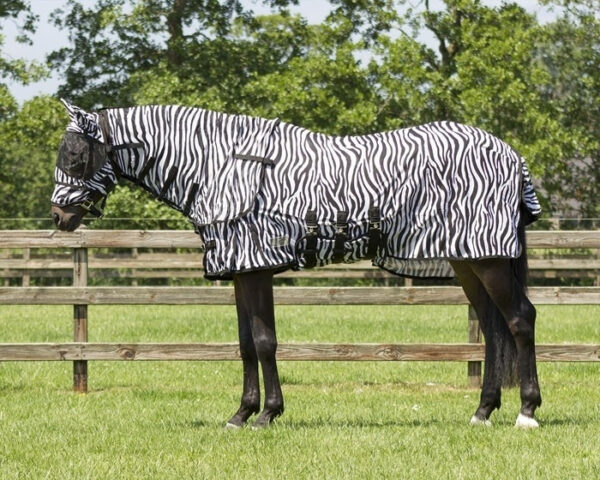QHP Vliegendeken Zebra met hals en masker bestellen? Via Paardensportwebshop.nl