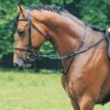 Pagony Thiedeman-teugel zwart maat:pony online bestellen