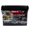 Pavo MuscleBuild II 3kg online bestellen