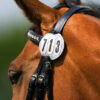 Startnummers Hoofdstel rond wit online bestellen